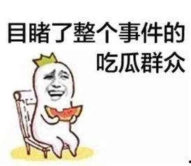 娱乐之星吃瓜群众是谁啊
